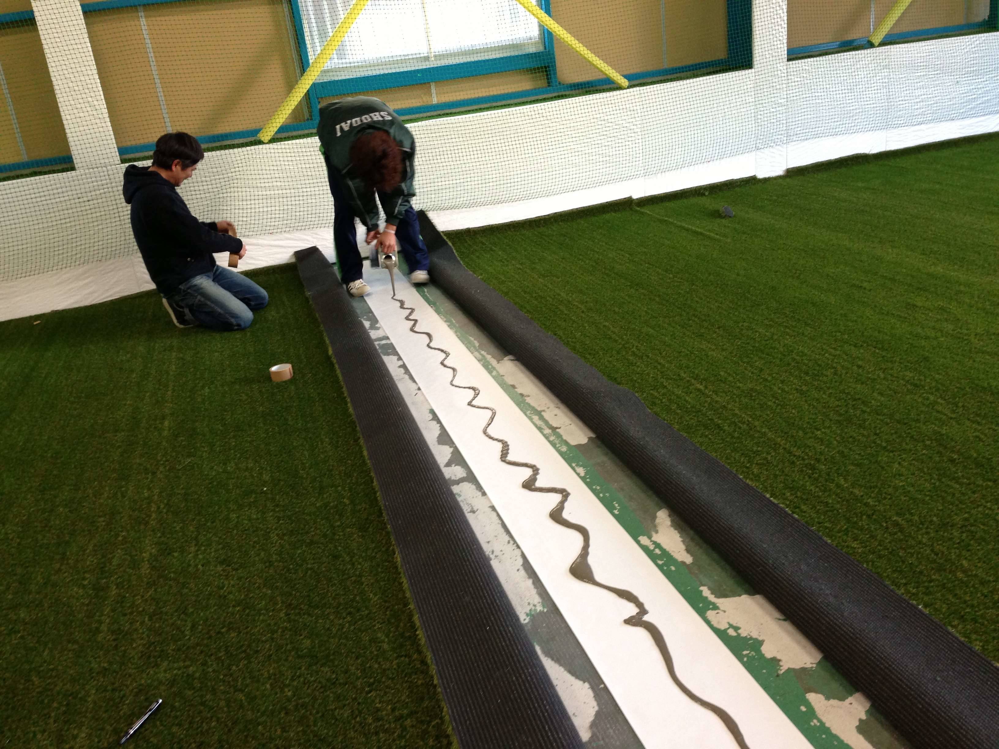 人工芝にすると虫はどうなる リアル人工芝の販売 施工専門店 Field Magic 全国対応 無料サンプル有